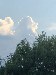 アマビエ様？